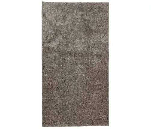 Paklājs Istan, Gara Spalva, Spīdīgi Pelēks, 80X150 Cm Vidaxl Paklājs Istan, Gara Spalva, Spīdīgi Pelēks, 80X150 Cm Vidaxl