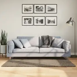 Paklājs Istan, Gara Spalva, Spīdīgi Pelēks, 80X150 Cm Vidaxl