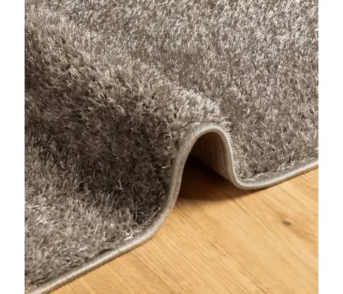 Vaip "Istan", Kõrge Narmaga, Läikiv Välimus, Hall, 100X200 Cm