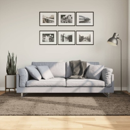 Paklājs Istan, Gara Spalva, Spīdīgi Pelēks, 160X230 Cm Vidaxl