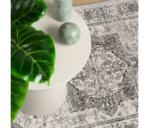 Paklājs Arbizu, Lietošanai Telpās, Ārā, Vintāža, 80X250 Cm Vidaxl