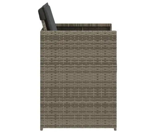 Sodo Kėdės Su Pagalvėlėmis, 4Vnt., Pilkos Spalvos, Poliratanas