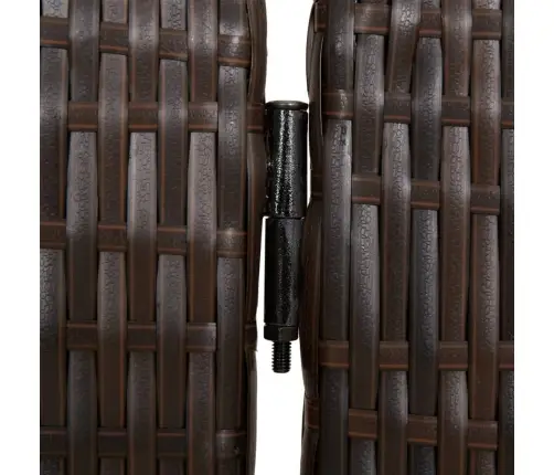 Istabas Sadalītājs, 4 Paneļi, Brūna Polirotangpalma Vidaxl