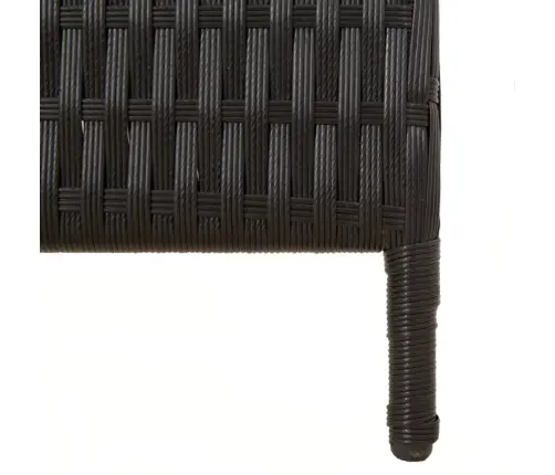 Istabas Sadalītājs, 5 Paneļi, Melna Polirotangpalma Vidaxl