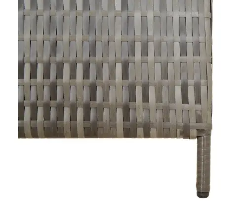 Istabas Sadalītājs, 5 Paneļi, Pelēka Polirotangpalma Vidaxl