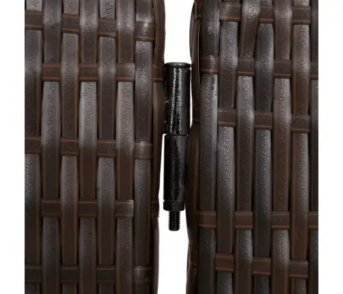 Istabas Sadalītājs, 4 Paneļi, Brūna Polirotangpalma Vidaxl