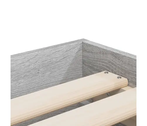 Gultas Rāmis Ar Atvilktnēm, Pelēka Ozola, 100X200 Cm Vidaxl