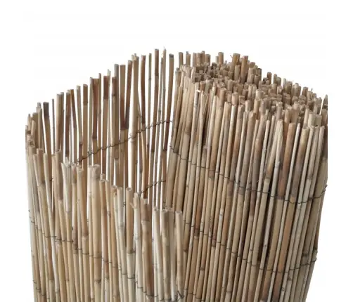 Dārza Žogs, 300X100 Cm, Niedres Vidaxl