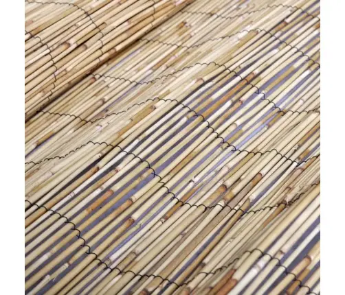 Dārza Žogs, 300X100 Cm, Niedres Vidaxl