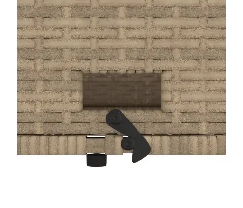 Dvivietė Sodo Sofa Su Pagalvėlėmis, Smėlio Spalvos, Poliratanas