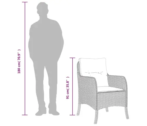 Sodo Kėdės Su Pagalvėlėmis, 2Vnt., Juodos Spalvos, Poliratanas