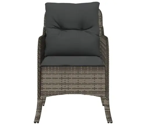 Sodo Kėdės Su Pagalvėlėmis, 2Vnt., Pilkos, Poliratanas Sodo Kėdės Su Pagalvėlėmis, 2Vnt., Pilkos, Poliratanas