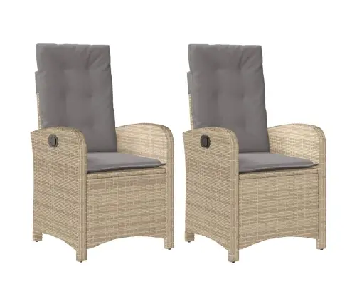 Allalastava Seljatoega Aiatoolid 2 Tk, Patjadega, Beežid Toonid