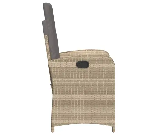 Allalastava Seljatoega Aiatoolid 2 Tk, Patjadega, Beežid Toonid