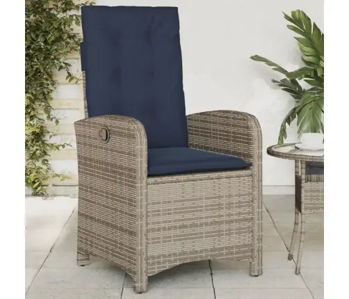 Atgāžami Dārza Krēsli, 2 Gab., Matrači, Pelēka Pe Rotangpalma Vidaxl