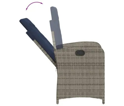 Atgāžami Dārza Krēsli, 2 Gab., Matrači, Pelēka Pe Rotangpalma Vidaxl