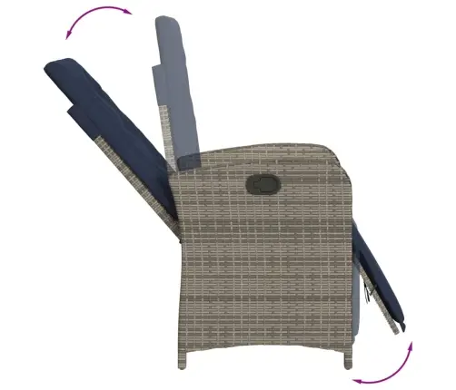 Allalastav Aiatool Koos Jalatoega, Hall, Polürotang