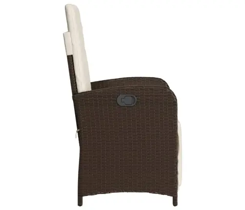 Bistro Komplektas Su Pagalvėlėmis, 3 Dalių, Rudas, Poliratanas