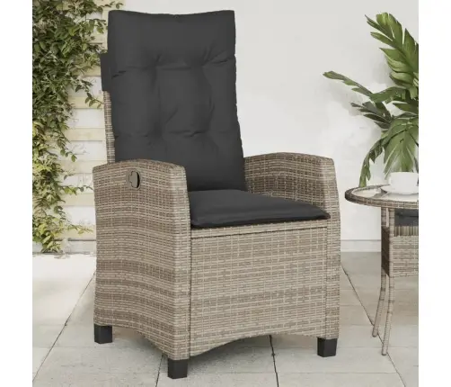 Atlošiamos Sodo Kėdės Su Pagalvėmis, 2Vnt., Pilkos, Poliratanas