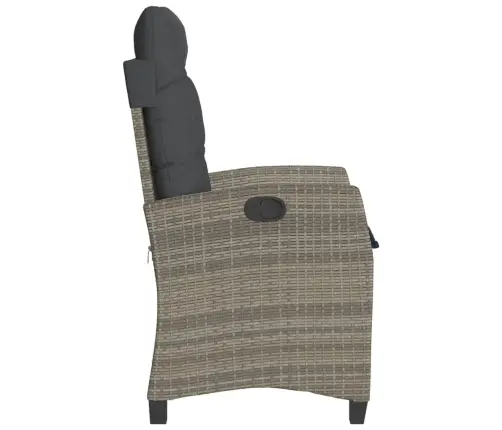 Atlošiamos Sodo Kėdės Su Pagalvėmis, 2Vnt., Pilkos, Poliratanas