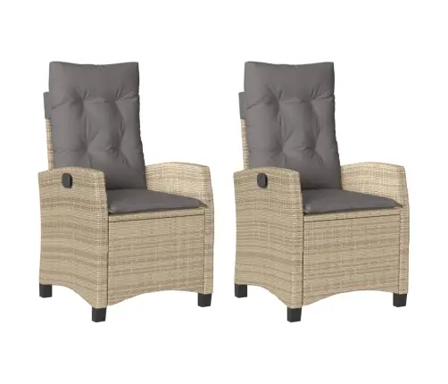 Allalastava Seljatoega Aiatoolid 2 Tk, Patjadega, Beežid Toonid