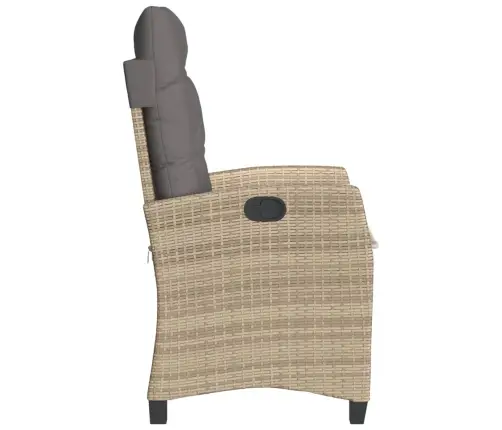 Allalastava Seljatoega Aiatoolid 2 Tk, Patjadega, Beežid Toonid