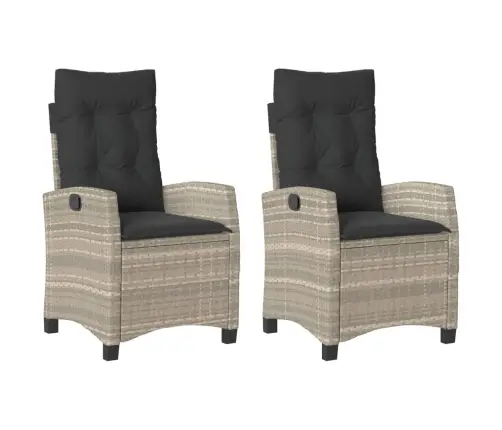 Allalastava Seljatoega Aiatoolid 2 Tk, Patjadega, Helehall