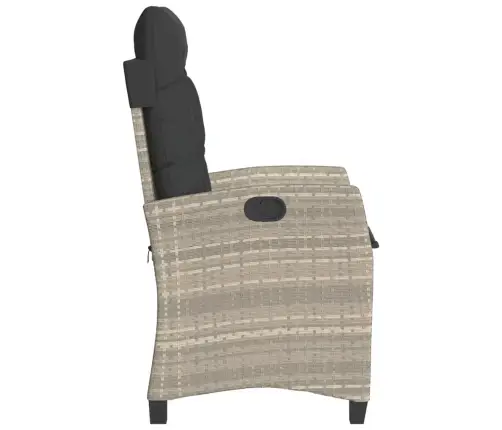 Allalastava Seljatoega Aiatoolid 2 Tk, Patjadega, Helehall