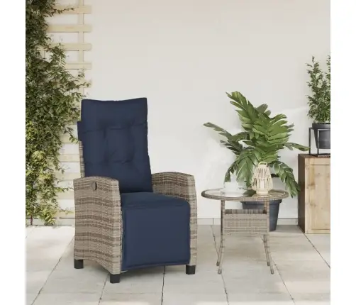 Allalastav Aiatool Koos Jalatoega, Hall, Polürotang