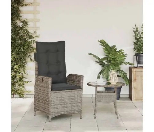 Atgāžams Dārza Krēsls Ar Matračiem, Pelēka Pe Rotangpalma Vidaxl