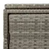 Dārza Skapis, Pelēks, 110X55X60,5 Cm, Pe Rotangpalma Vidaxl