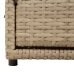 Dārza Skapis, Bēšs, 110X55X60,5 Cm, Pe Rotangpalma Vidaxl