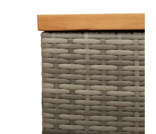 Dārza Uzglabāšanas Kaste, Pelēka, 110X50X54 Cm, Pe Rotangpalma Vidaxl