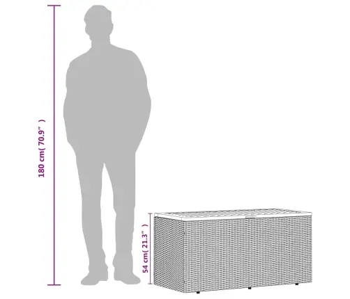Dārza Uzglabāšanas Kaste, Pelēka, 110X50X54 Cm, Pe Rotangpalma Vidaxl