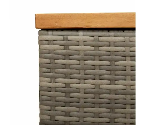 Dārza Uzglabāšanas Kaste, Pelēka, 220X50X54 Cm, Pe Rotangpalma Vidaxl