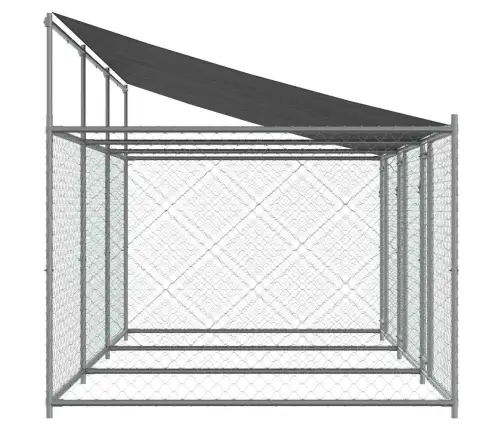 Koeraaedik, Katuse Ja Uksega, Hall, 6X2X2 M, Tsingitud Teras