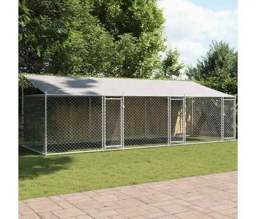 Koeraaedik, Katuse Ja Uksega, Hall, 6X2X2 M, Tsingitud Teras