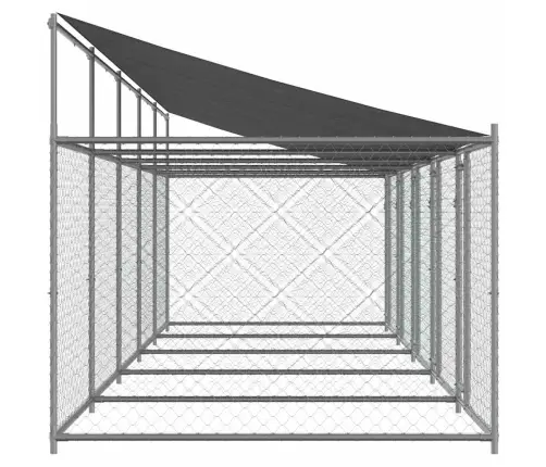 Suņu Būris Ar Jumtu Un Durvīm, Pelēks, 10X2X2M, Cinkots Tērauds Vidaxl