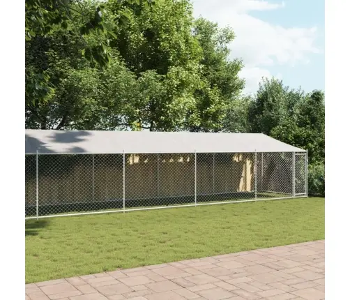 Suņu Būris Ar Jumtu Un Durvīm, Pelēks, 10X2X2M, Cinkots Tērauds Vidaxl
