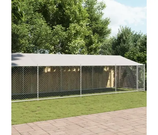 Suņu Būris Ar Jumtu Un Durvīm, Pelēks, 10X2X2M, Cinkots Tērauds Vidaxl
