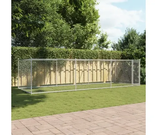 Koeraaedik, Katuse Ja Uksega, Hall, 6X2X1,5 M, Tsingitud Teras