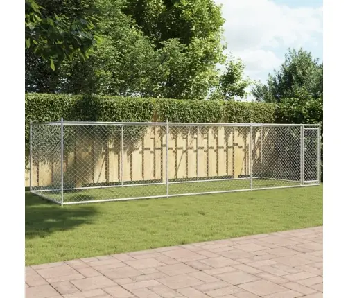 Koeraaedik, Katuse Ja Uksega, Hall, 6X2X1,5 M, Tsingitud Teras