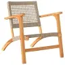 Dārza Krēsli, 2 Gab., Bēša Pe Rotangpalma, Akācijas Koks Vidaxl