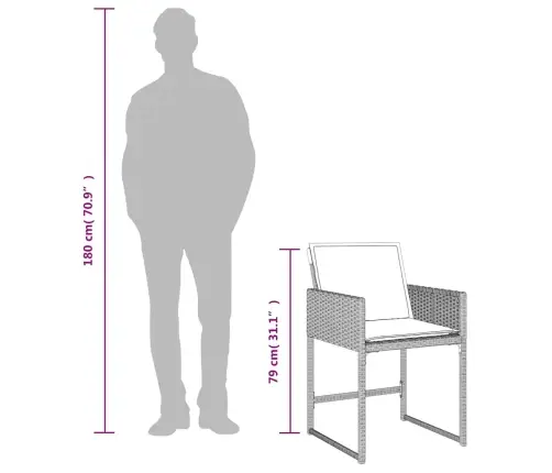 Sodo Komplektas Su Pagalvėlėmis, 13 Dalių, Pilkas, Poliratanas