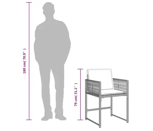 Sodo Komplektas Su Pagalvėlėmis, 15 Dalių, Pilkas, Poliratanas