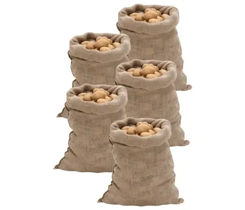 Džutas Maisi, 5 Gab., 60X105 Cm, 100% Džuta, 220 Gsm Vidaxl