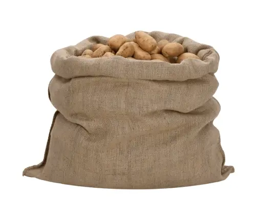 Džutas Maisi, 5 Gab., 100X110 Cm, 100% Džuta, 340 Gsm Vidaxl