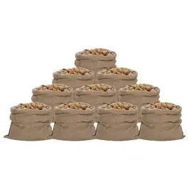 Džutas Maisi, 10 Gab., 100X110 Cm, 100% Džuta, 340 G/M² Vidaxl