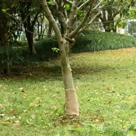 Džutas Rullis, 0,25X100 Cm, 100% Džuta, 200 Gsm Vidaxl