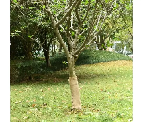 Džiuto Ritinys 0,5X5 M, 100 % Džiutas, 200 G/M²